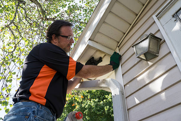 Best Siding Removal and Disposal  in Pembroke, GA